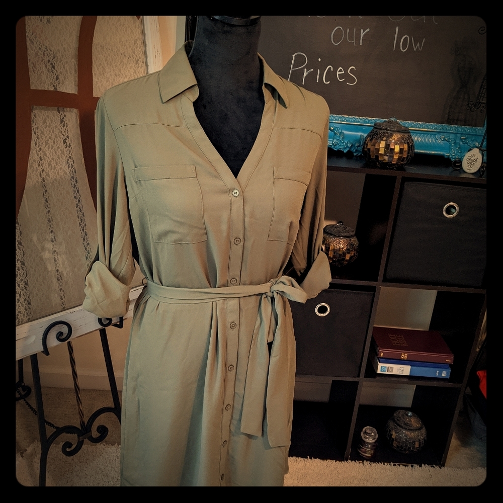 NWT Express dress